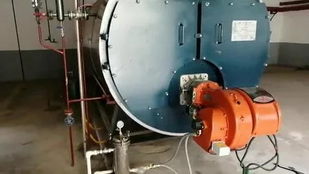 China Supplier Dual Output Gas Steam Boiler System
