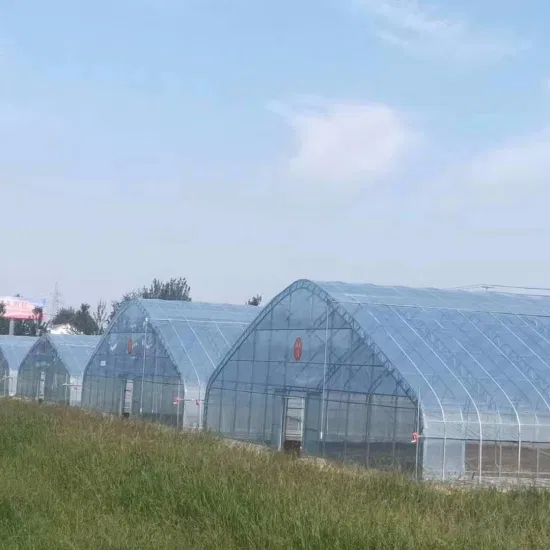 Watermelon Greenhouse Skeleton Machine Delivers Greenhouse Accessories Free of Charge