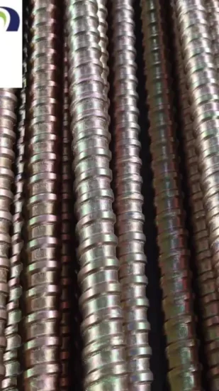 Hot Rolled /Cold Rolled Steel Rebar Steel Coil Rod Threaded Rod and Formwork Tie Rod with Wing Nut From China Factory